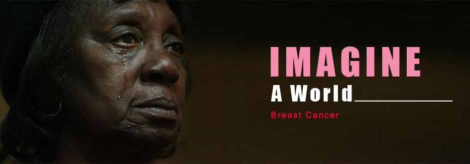 Imagine a World Without Breast Cancer.